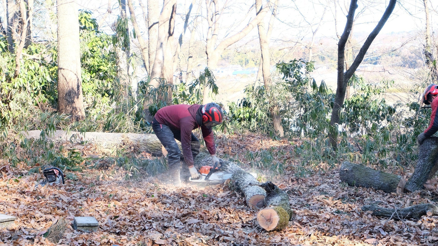 養蜂と林業の関係を考える①