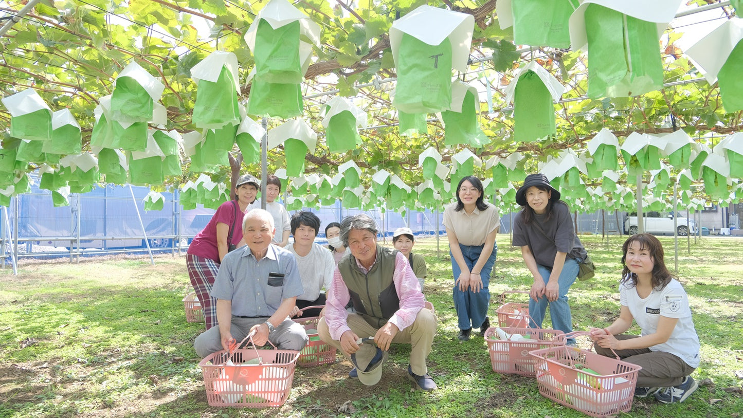 🍇楽しいぶどう狩り🍇