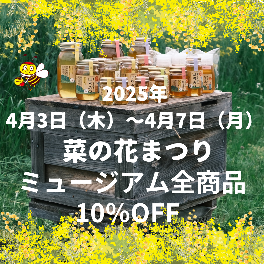 \ミュージアム全商品10%OFF・菜の花まつり開催/