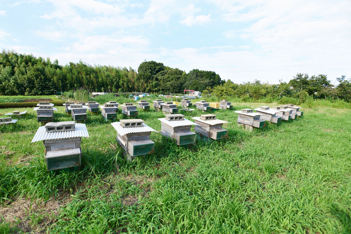 公式】みつばちファーム | 健康自然工房