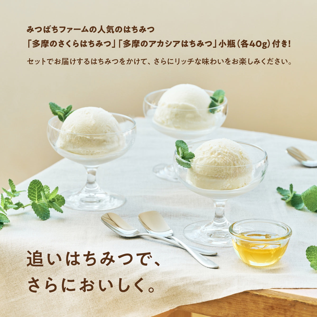 はちみつミルクジェラート 10個セット