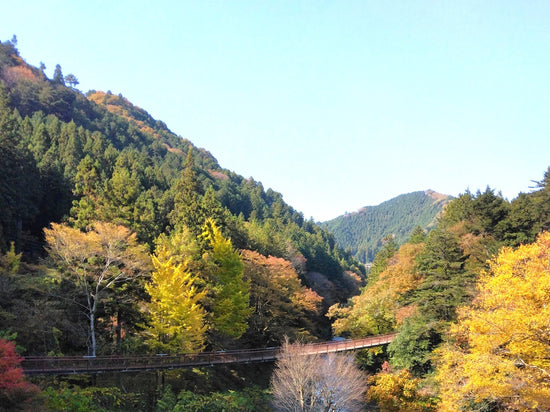 秋川渓谷に秋が来ました