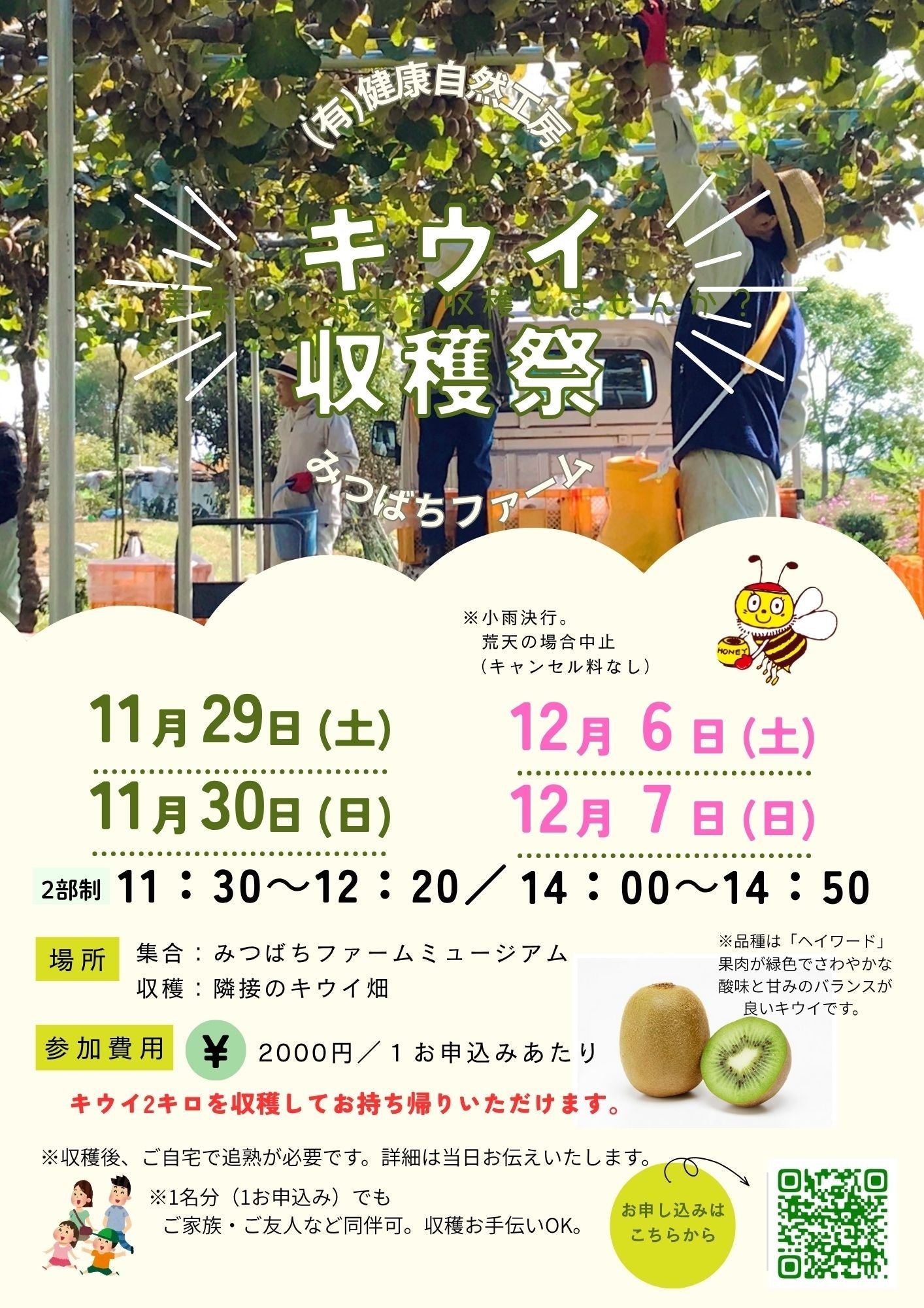 今年第2弾！！＼キウイ収穫祭11月29日・30日、12月6日・7日開催／
