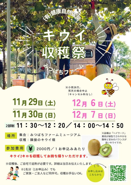 今年第2弾！！＼キウイ収穫祭11月29日・30日、12月6日・7日開催／