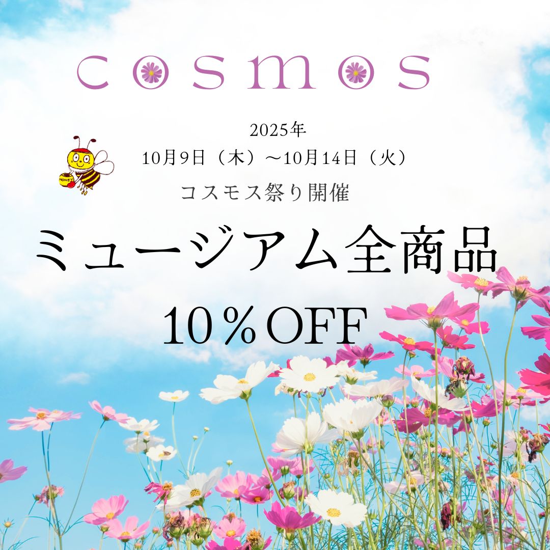 ＼10月9日～14日　ミュージアムにてコスモス祭り開催／