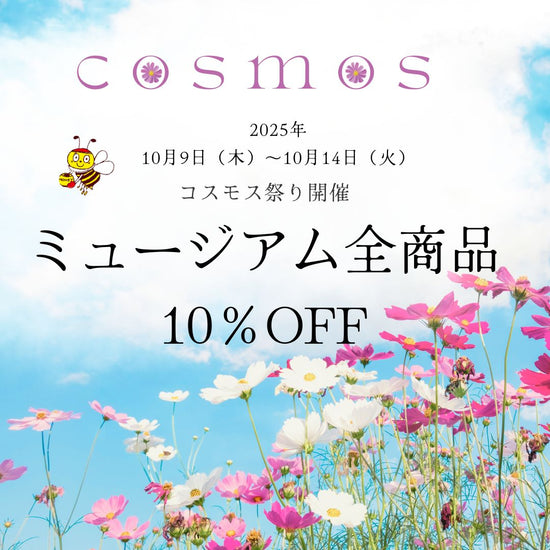 ＼10月9日～14日　ミュージアムにてコスモス祭り開催／
