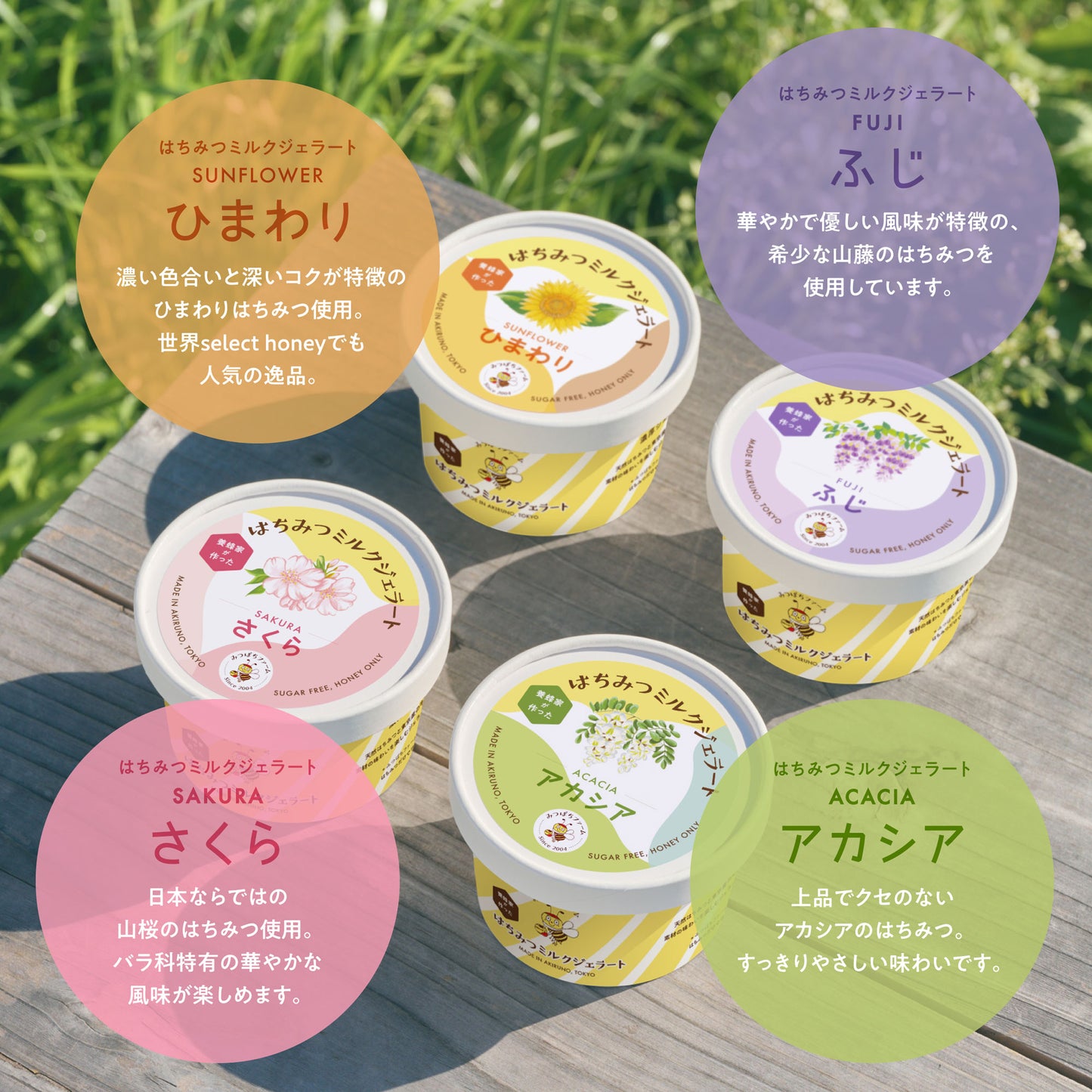 はちみつミルクジェラート 10個セット