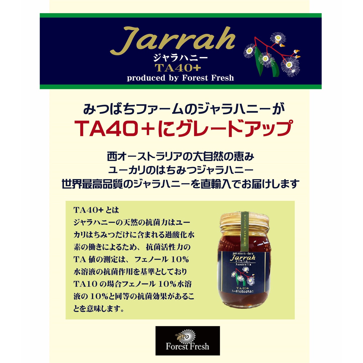 オーストラリア産　ジャラはちみつ　TA40＋